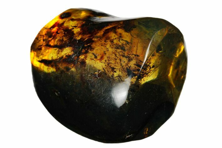 Polished Chiapas Amber ( g) - Mexico #180408